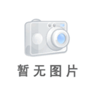 PAGE上層膠黃色染料(500×, 無遷移)